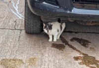 Click to see a larger image