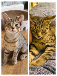 Click to see a larger image