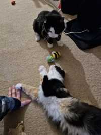 Click to see a larger image