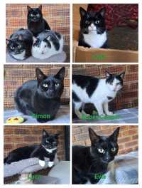 Click to see a larger image