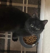 Click to see a larger image