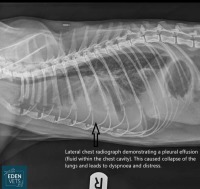 Click to see a larger image