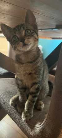 Click to see a larger image