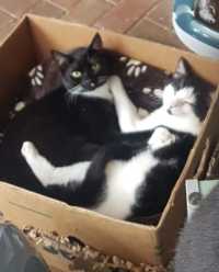 Click to see a larger image