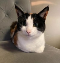 Click to see a larger image