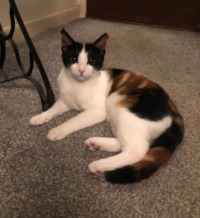 Click to see a larger image