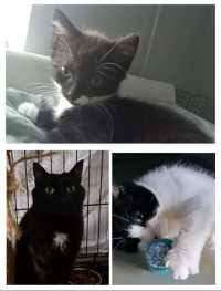 Click to see a larger image