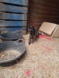 Click to see a larger image