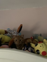 Click to see a larger image